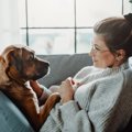 犬が『尊敬をしてい…