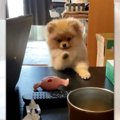おもちゃを取りたい…