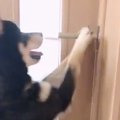 開けたら閉めるのよ♡…