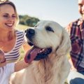 人懐っこい犬種おす…