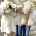 2匹の犬を抱っこして…