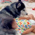 距離があった赤ちゃ…