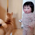 ママが外出→悲しそう…