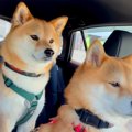手術のために車で病…