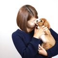 犬にNGな抱っこの仕…