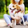 保護犬を飼う時にす…