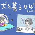 犬と暮らせば【第249…