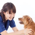 犬が病気になる『絶…