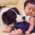 生後２ヶ月の赤ちゃ…