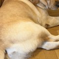 『今日は帰りが遅く…
