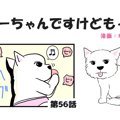 ちーちゃんですけど…