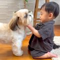 仲良しすぎる『犬と…