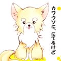 かわうそちわわ。（6…
