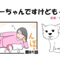 ちーちゃんですけど…