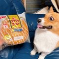 「このサイズで？！…