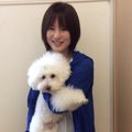 アニマルコミュニケ…