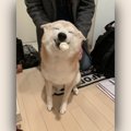 『はい、優勝です！…