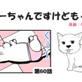 ちーちゃんですけど…