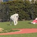【話題】「どこ…？」…