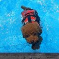 最先端のスポーツ技…