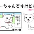 ちーちゃんですけど…