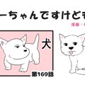 ちーちゃんですけど…