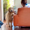 ママに撫でられて嬉…