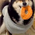 帰宅後『ママが帰っ…