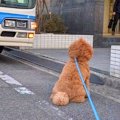 バス停で順番待ちを…