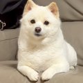 『バースデーソング…