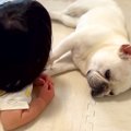 犬と赤ちゃんが一緒…