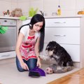 なぜ『犬臭』が部屋…