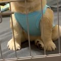 寝る時間になったの…