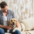 犬が怒っている時に…