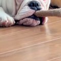 『葉巻吸ってるやろ…