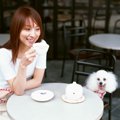 犬の幸福度調査につ…