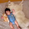 赤ちゃんが『産まれ…
