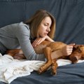 犬が『お腹が痛い』…