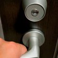 犬に絶対バレないよ…