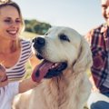 犬にとっての家族と…