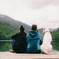 犬の飼い主が経験し…