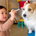 女の子が『犬とおま…