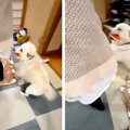 「おかえり～！！」…