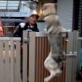 お父さんを心待ちに…