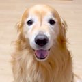 停電を想定して部屋…