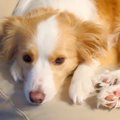 急にくっつくように…