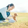 犬の『排泄物』から…