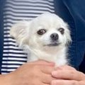 バーベキューに参加…