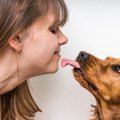犬に舐めさせてはい…
