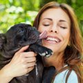 犬はメイクをした飼…